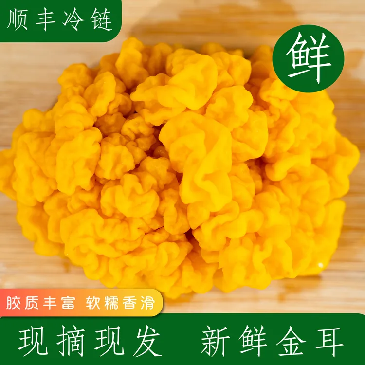 柞水金耳柞水木耳农产品黄木耳蘑菇鲜金耳菌胶质火锅2斤装