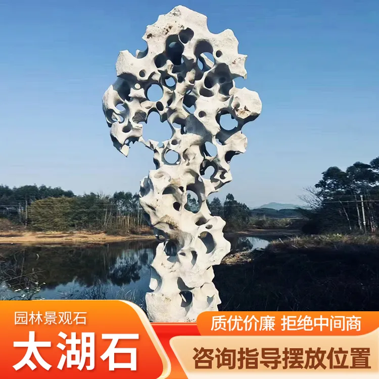 苏式庭院太湖石天然原石白色黑色太湖石园林景观石精品草坪点缀石