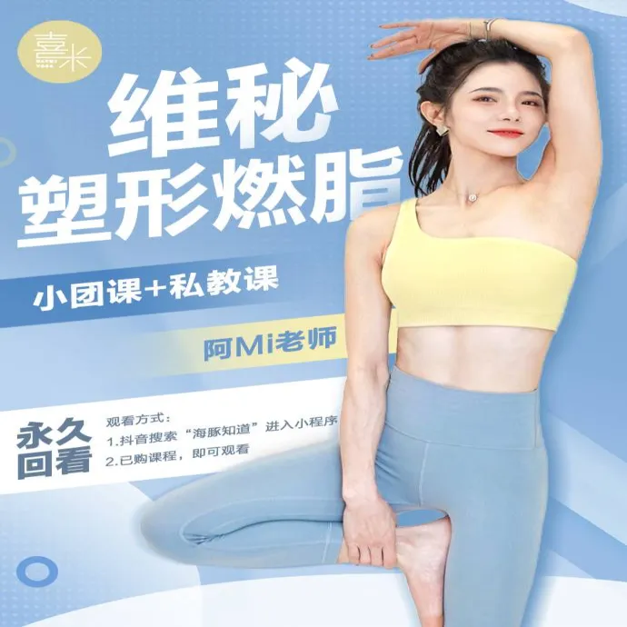 维秘塑形燃脂 ｜50节完整课+私教
