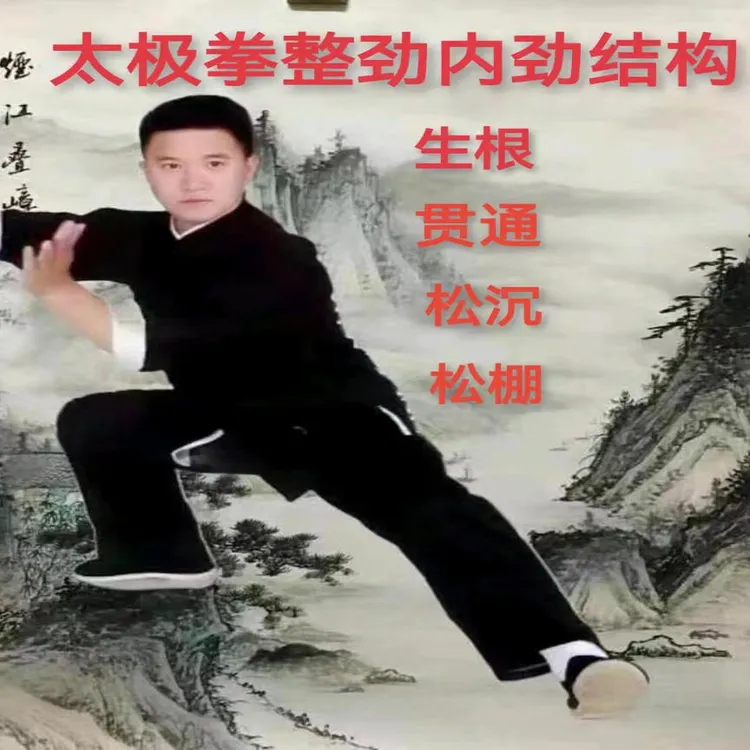 太极拳整劲内劲结构    