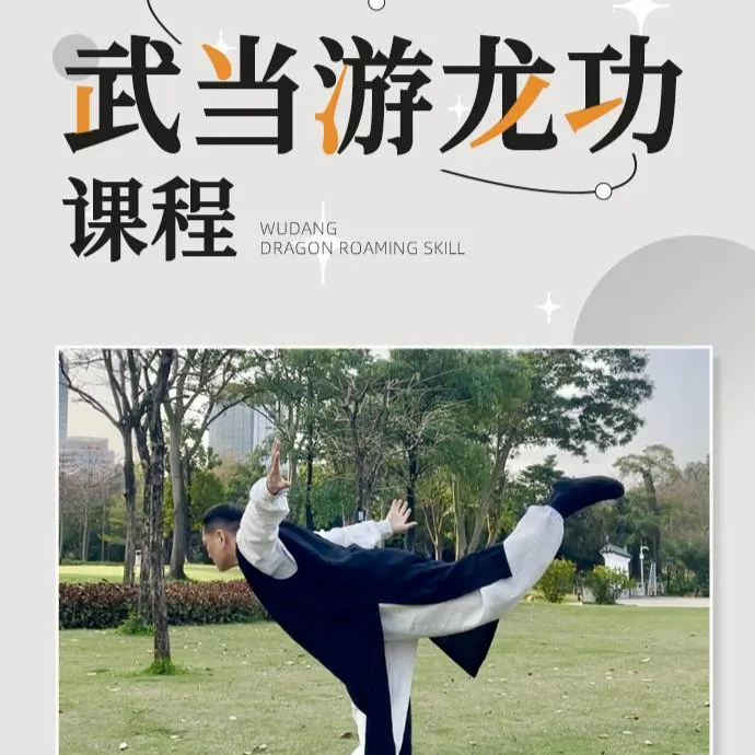 赵师兄武当游龙功