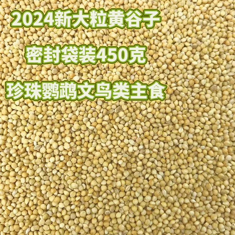 新黄谷子大粒珍珠鹦鹉鸟粮玄凤牡丹粮食文鸟专用带壳小黄米雀鸟粮