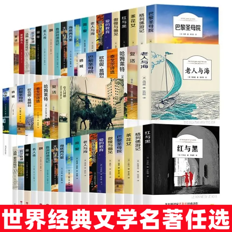 正版傲慢与偏见柳林风声小王子巴黎圣母老人与海昆虫记优价好书
