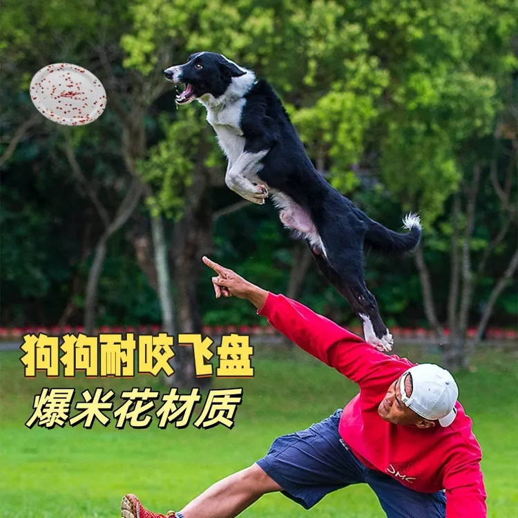 squeaker/斯奎恪宠物狗狗飞盘玩具爆米花材质耐咬互动训练巡回