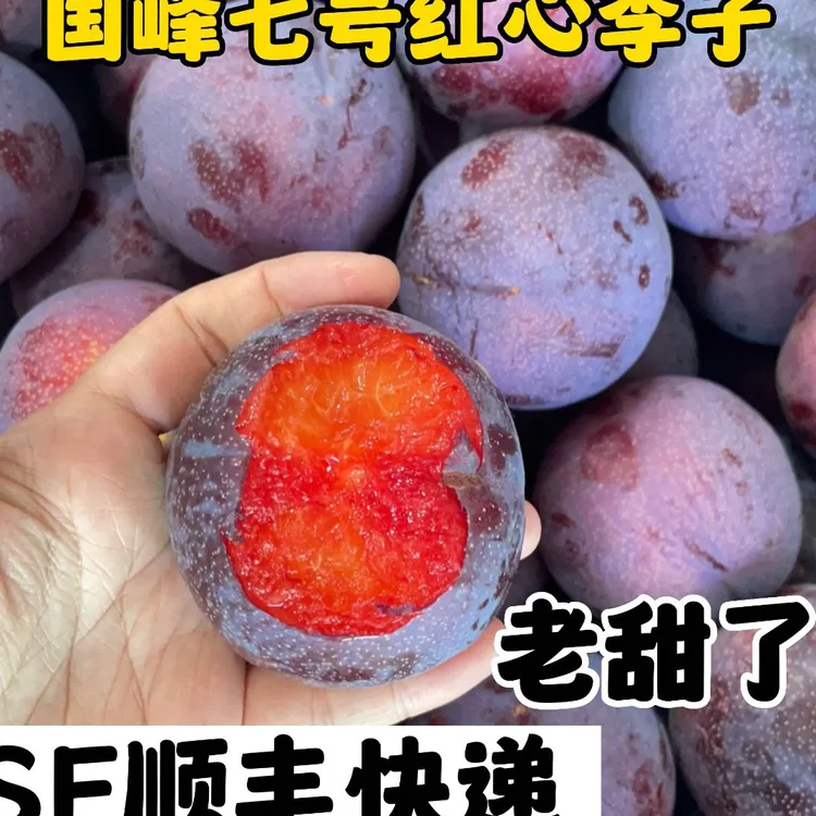 国峰七号红心李子高酸高甜净重1斤/3斤/5斤顺丰快递