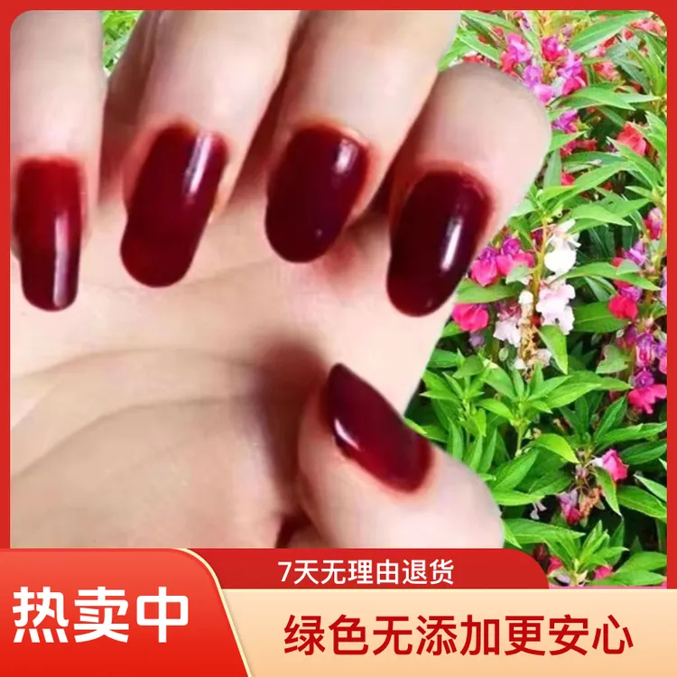 【60克送工具】指甲花粉小桃红冬夏季可用植物包指甲红色车厘子红