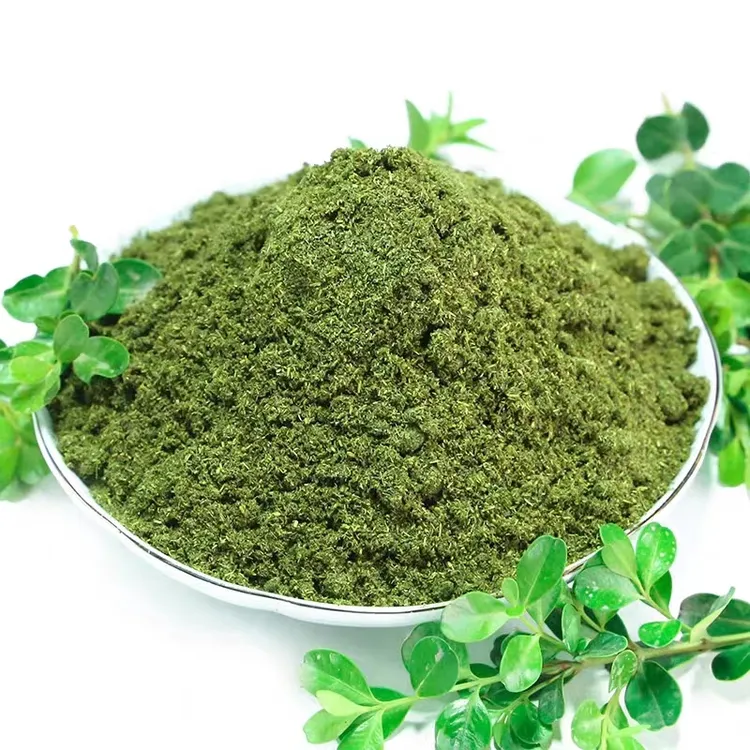 新疆香豆粉调料细腻干净做花卷蒸馍馍特产香豆子食用包邮