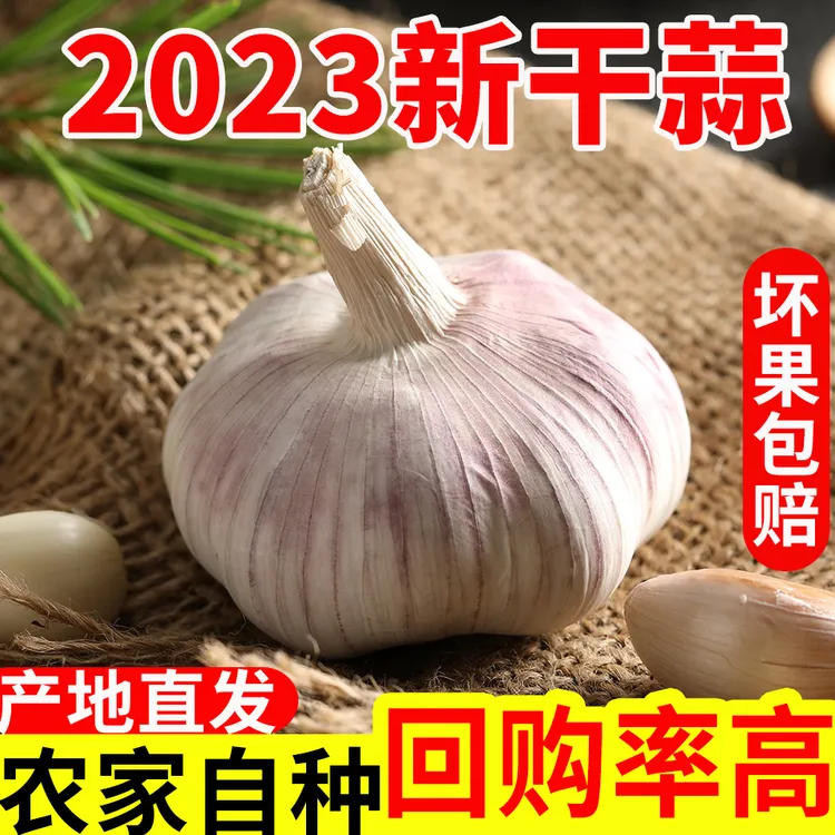 【便宜了】2023新干蒜5斤紫白皮杞县特产干大蒜头1斤2斤3斤9斤可种