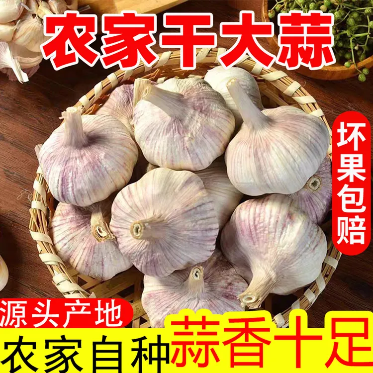 (农家土蒜）十足干蒜5斤紫白皮杞县特产干大蒜头1斤2斤3斤9斤可种