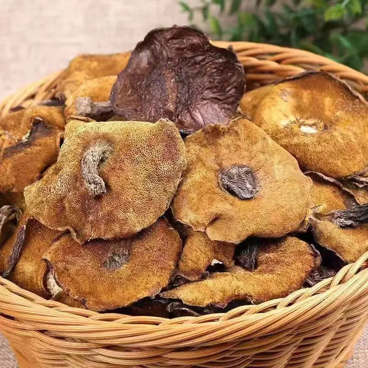 沂蒙山蘑菇 野生松菇山蘑菇山蛾子