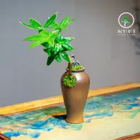 发财树室内绿植小盆栽造型小盆景桌面植物好养办公室客厅四季常青