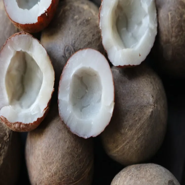 海椰皇圆粒非洲小椰子新鲜香味浓郁煲汤材料悠闲零食去壳下单备注
