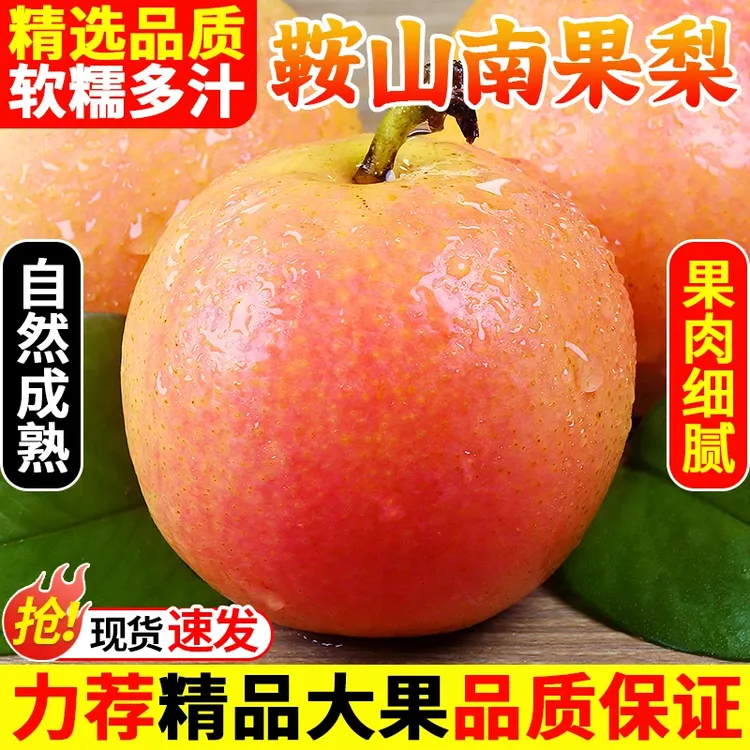 正宗鞍山口感好吃南果梨南国梨包邮酒香四溢香甜正宗新鲜果园直发