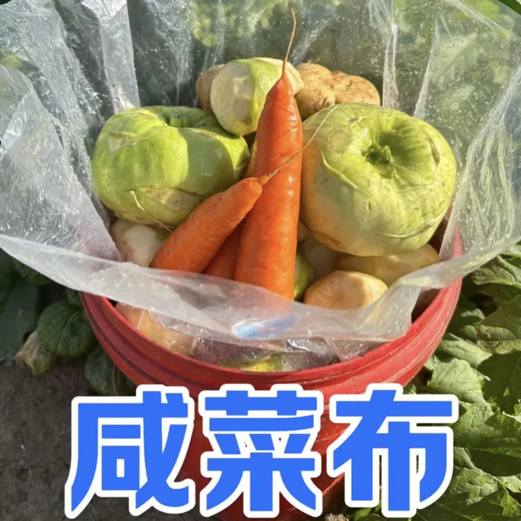 咸菜布/多功能冬储袋（60x80厘米）拍一发二
