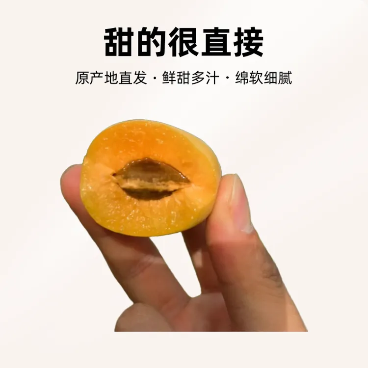 一口沦陷！新疆小红杏甜的很直接，鲜甜多汁一杏两吃新疆原产地直发