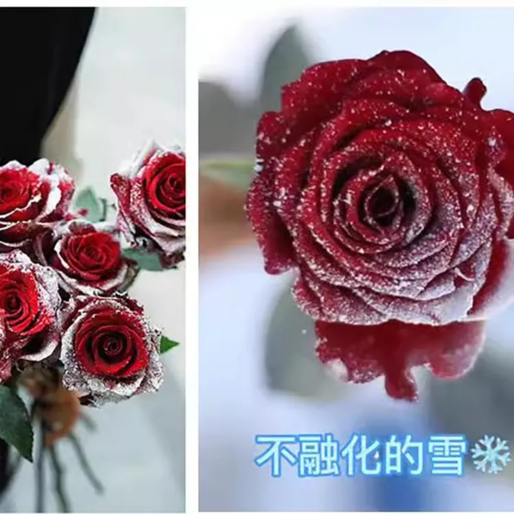 圣诞节不融化雪花喷雾喷雪喷圣诞树窗户花朵圣诞树喷模板图案装饰