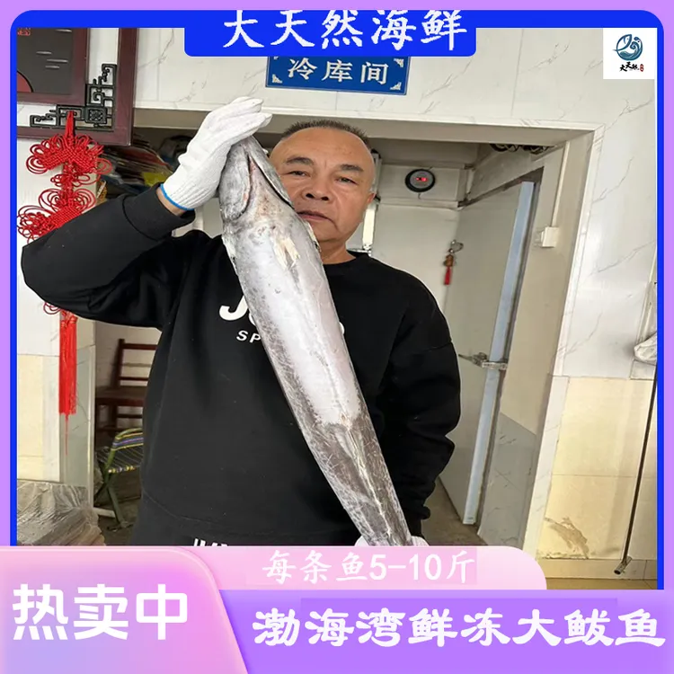 【5-10斤左右/条】大鲅鱼 马鲛鱼 燕鲅鱼 渤海湾新鲜速冻高端礼品