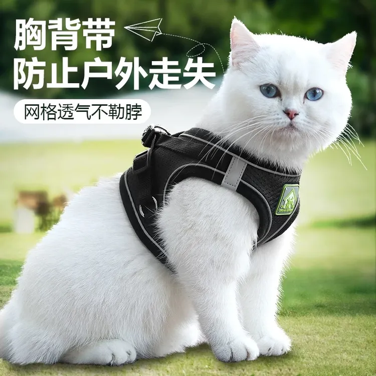 【陪陪】猫咪胸背带牵引绳舒适透气外出防挣脱防走丢遛猫神器猫用品