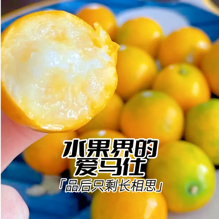 [家庭精选款]产地直发 广西融安滑皮金桔爆甜1斤孕妇水果脆皮金桔