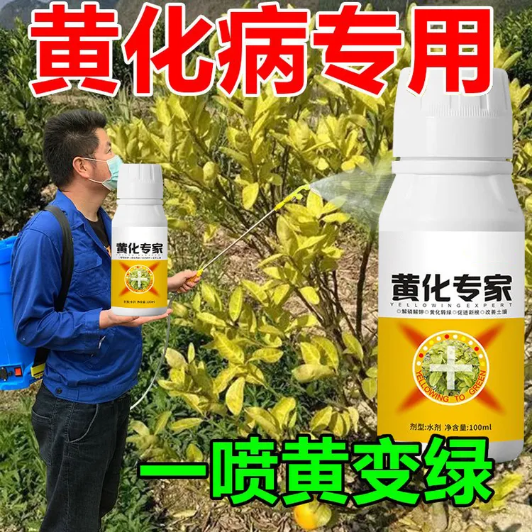 黄叶黄化一喷绿黄龙病专用果树柑橘桔子树通用生物菌剂黄化病专用