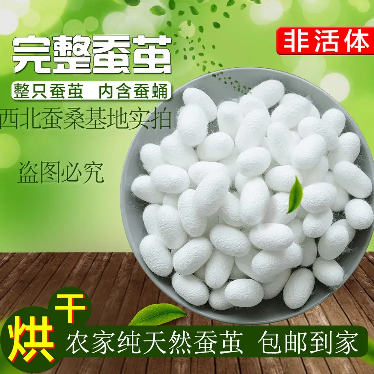 手工蚕丝扇制作蚕茧完整未开口干茧抽丝剥茧天然蚕茧金色白色包邮