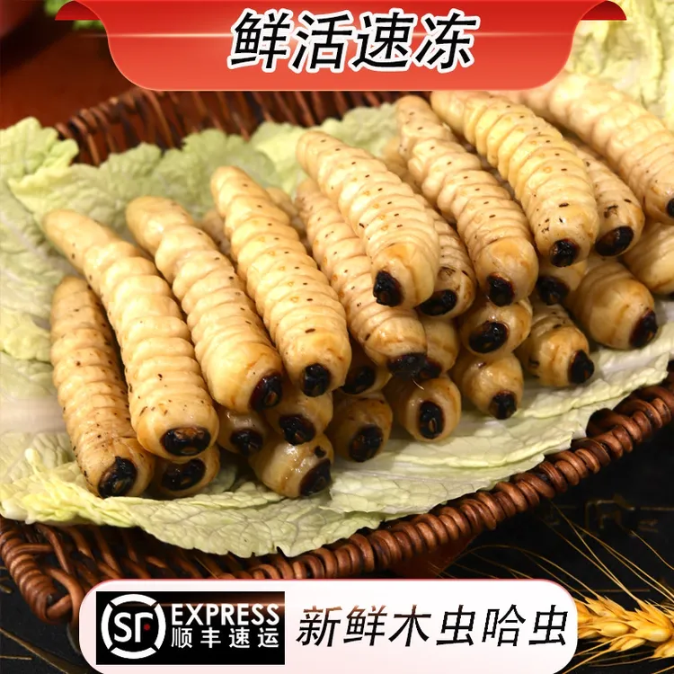 新鲜木虫哈虫斗米虫冷冻发货当季新货