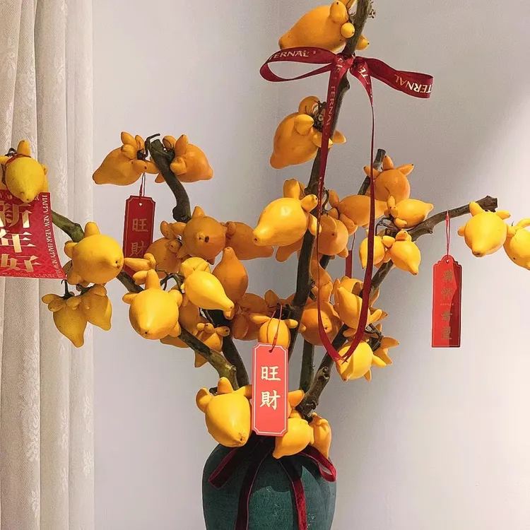 【五代果】金玉满堂黄金果福禄果小猪佩奇室内摆件装饰观赏云南鲜花