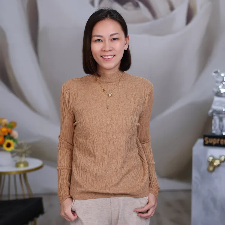 【坑条内搭】2024秋冬新半高领羊毛内搭毛衣打底衫上衣长袖针织衫