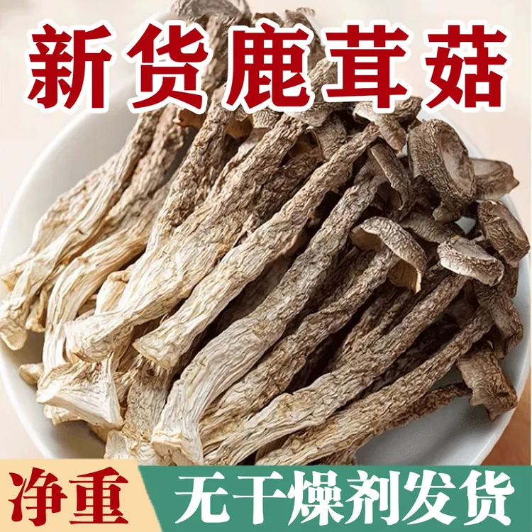 【无干燥剂发货】鹿茸菇新货完整农家特产海鲜菇鹿耳菇净重商用批发