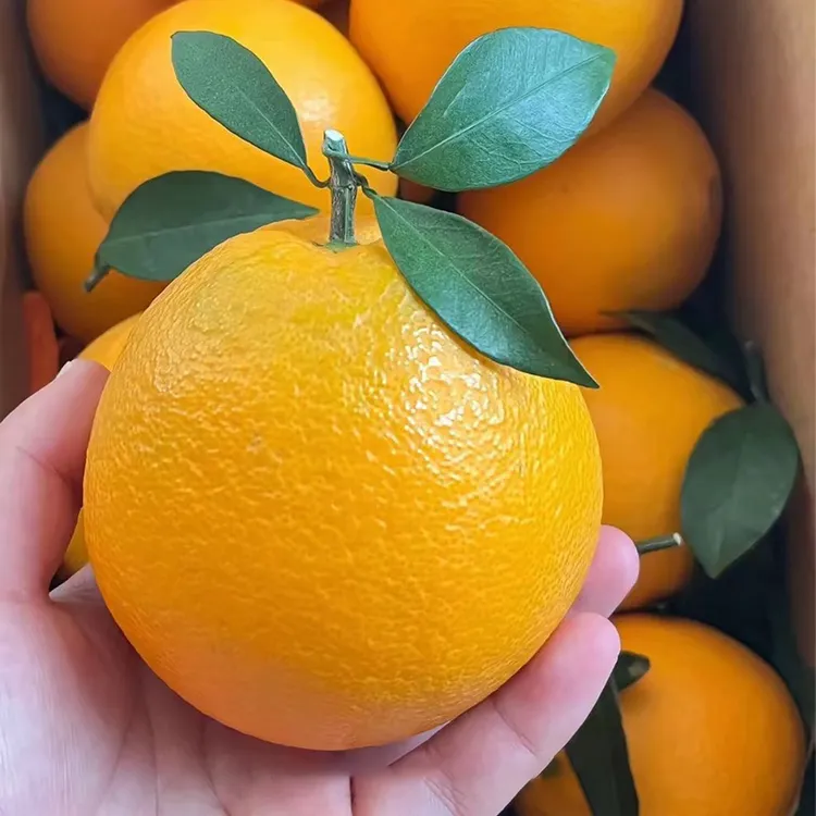 【带枝叶】正宗江西赣州赣南脐橙10斤新鲜甜橙子5斤当季水果包邮