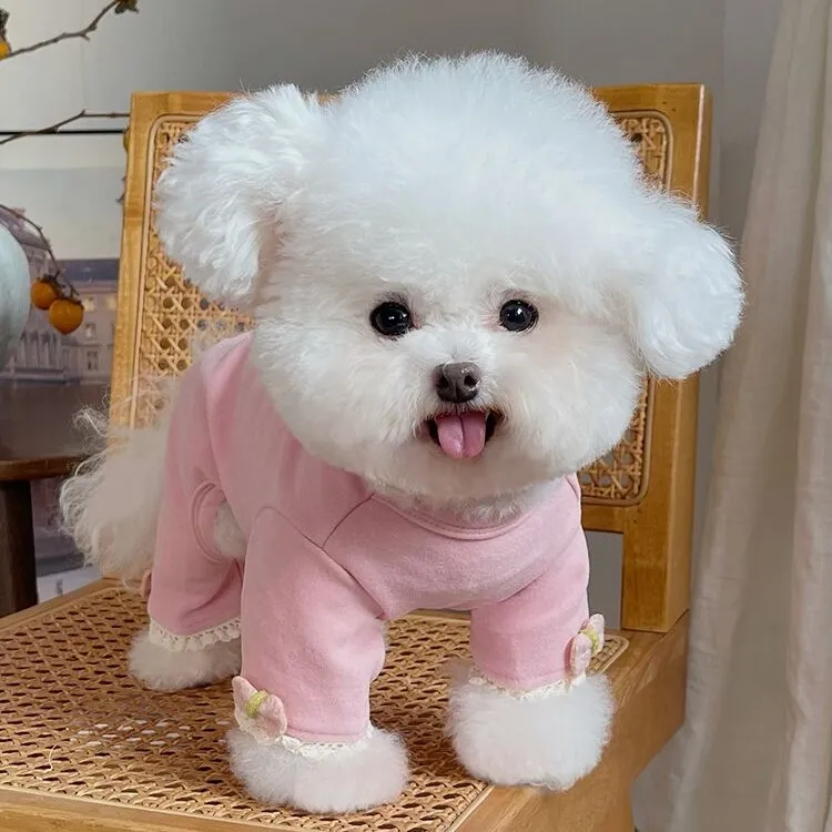 宠物衣服秋冬新款保暖弹力磨毛四脚裤泰迪比熊狗狗猫咪内搭家居服