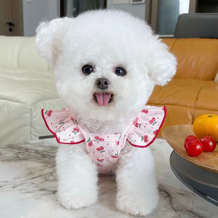 宠物衣服夏季薄款韩系飞袖背心吊带泰迪比熊狗狗猫咪空调服居家服