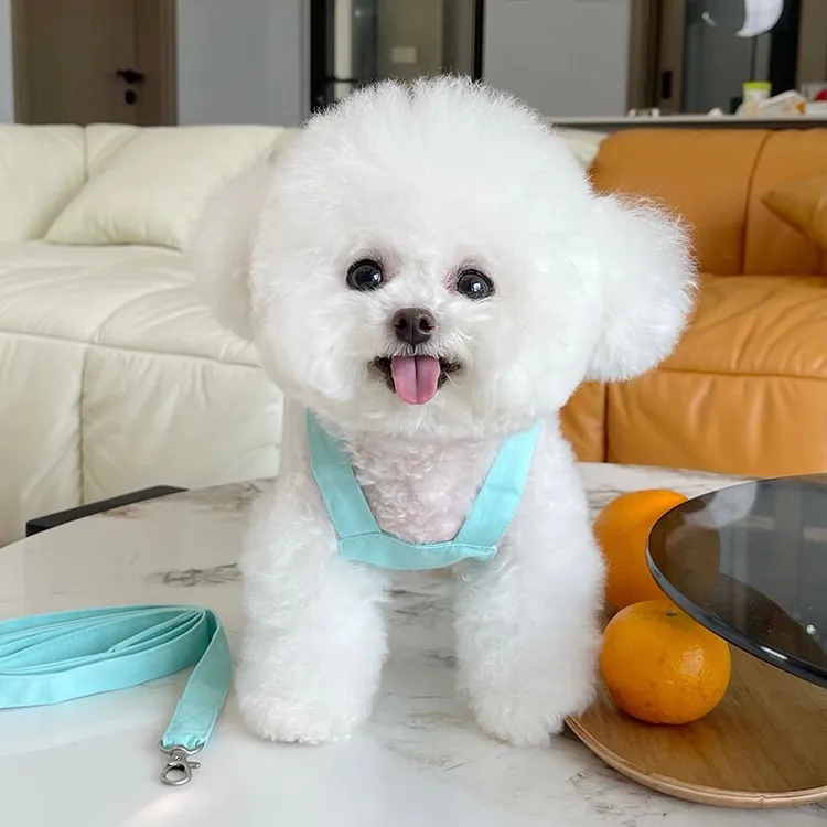 宠物衣服夏季新款纽扣吊带蕾丝牵引背心泰迪比熊狗狗猫咪休闲衣服