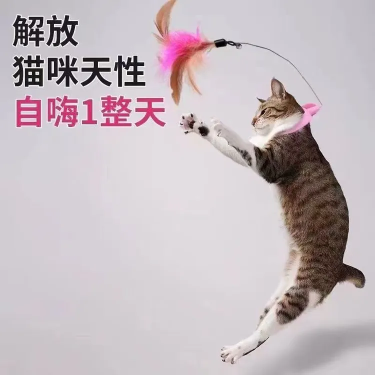 逗猫棒猫玩具自嗨猫咪解闷神器猫脖子逗猫棒猫咪玩具套头头戴式
