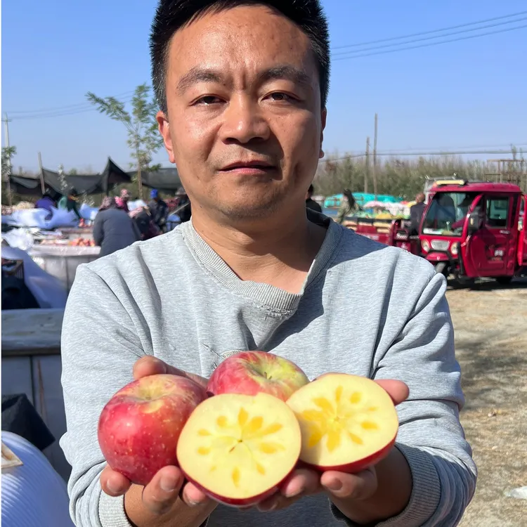 冰糖心苹果甘肃高山种植新鲜苹果
