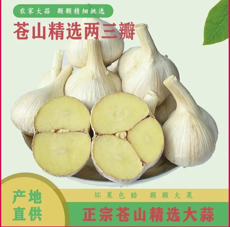 25年苍山两三瓣白皮蒜大果精选新干蒜坏果包赔蒜香味浓辣产地直发