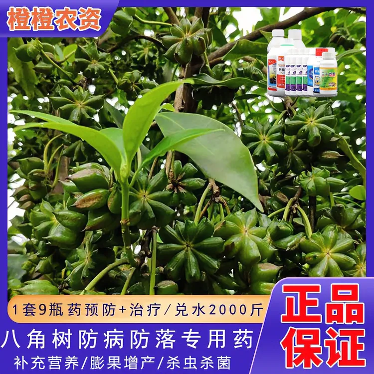 八角专用药全套组合促花座果保花果药八角树炭疽病全治农用叶面肥