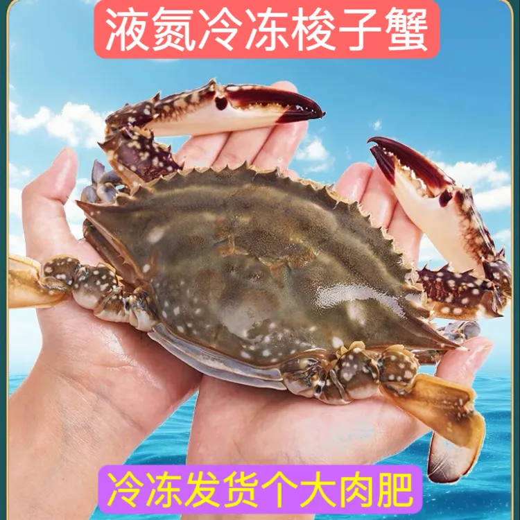 连云港  冷冻梭子蟹   4斤 单只3两左右公蟹