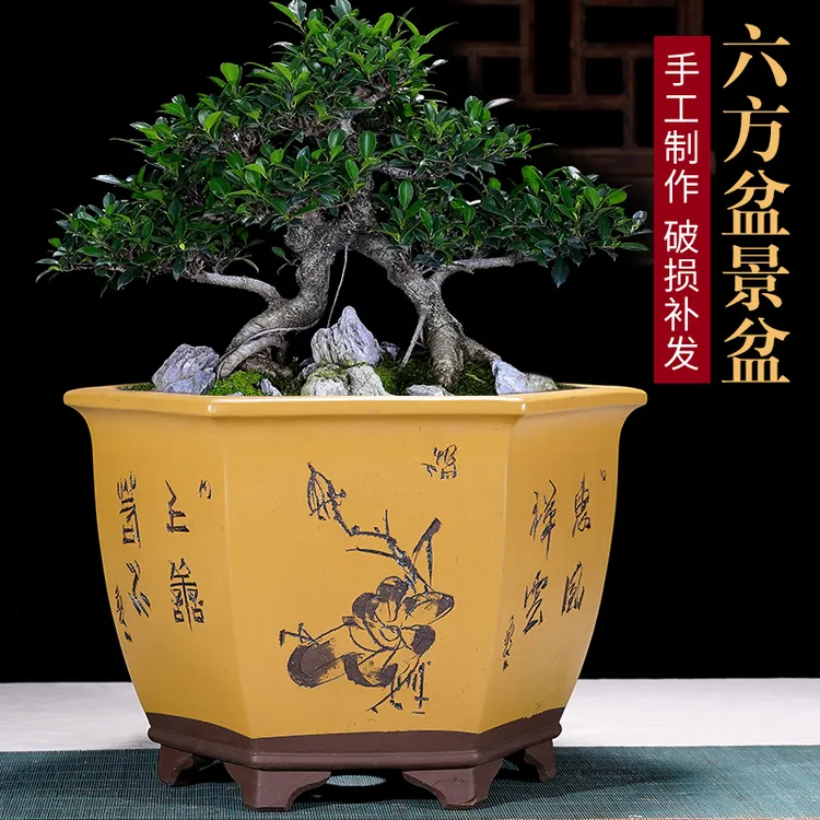 宜兴紫砂盆 六方兰花盆 花卉绿植物盆栽大号手工花盆盆栽盆
