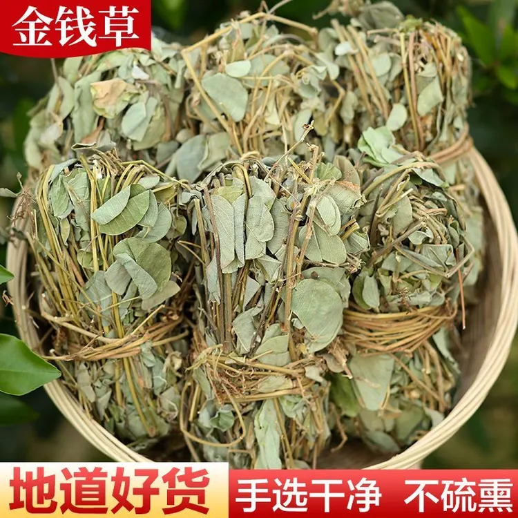 广东正宗食用金钱草(精选大叶金钱草新鲜晒干)