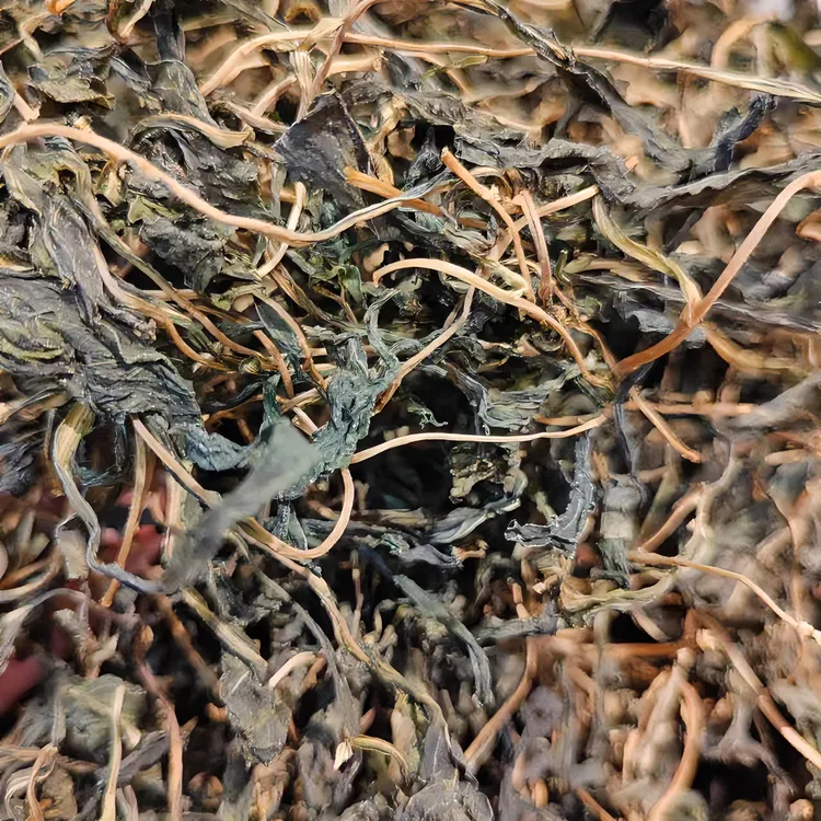 南汇农家自晒 马兰头干 草头干 100g/250g