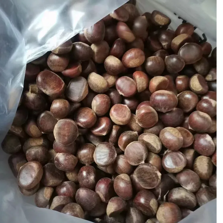 张家界本地板栗家里板栗香糯甜食用农产品