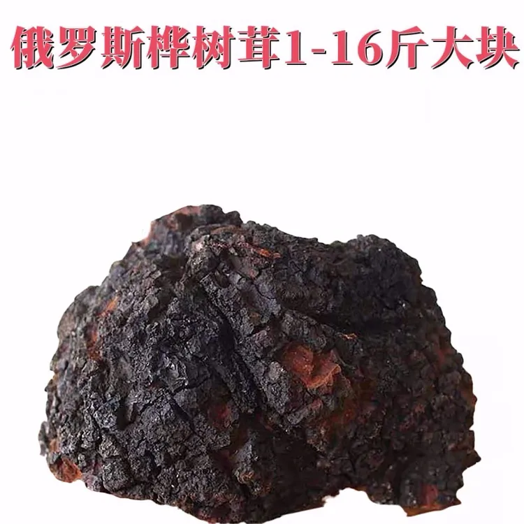 俄罗斯桦树茸黑金大块整块1-16斤桦树茸固体饮料