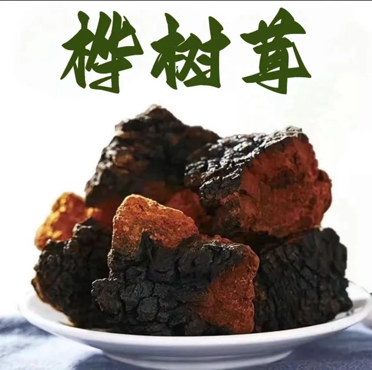 中俄边境桦树茸包邮白桦树茸煮水喝特别好营养浓郁