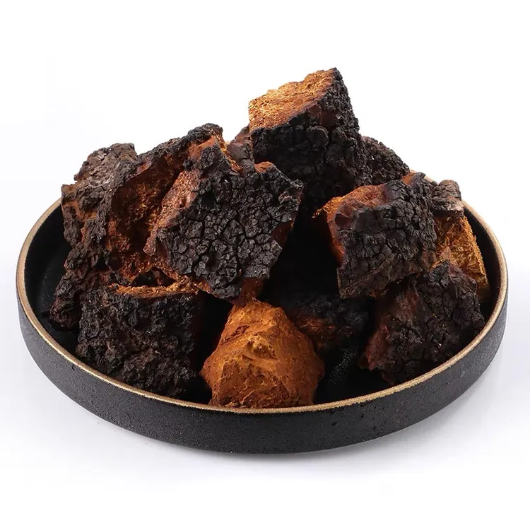 中俄边境桦树茸包邮桦树茸煮水喝特别好营养浓郁