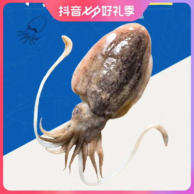 舟山海捕大墨鱼8-1一只 到手5只4.5斤左右新鲜干净鲜嫩