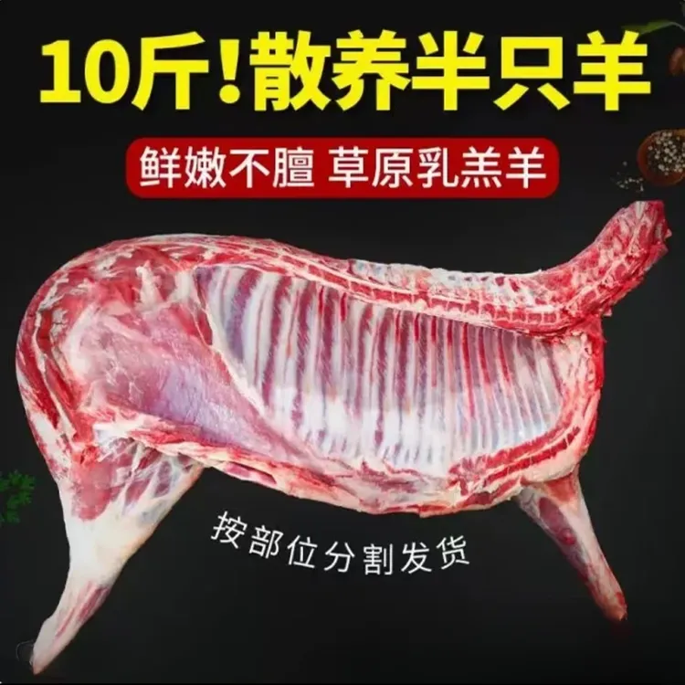 半只羊散养羔羊10斤羊肉羊蝎子羊排羊前腿/后腿（不带礼盒）