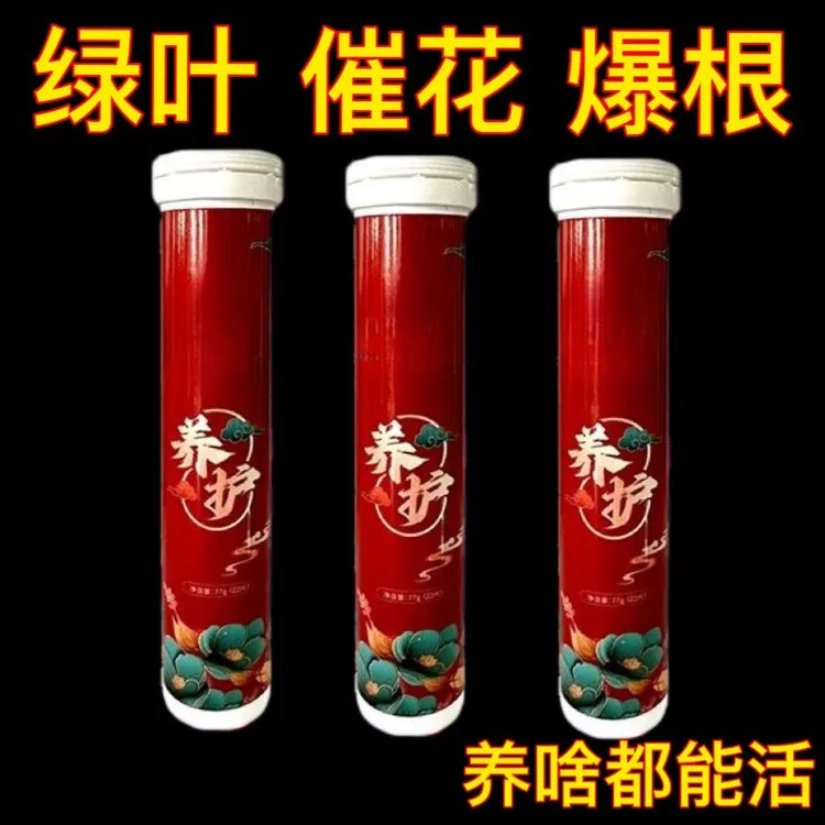 【厂家直销】家用养花通用型氮磷钾多肉盆栽花卉调节营养缓释片