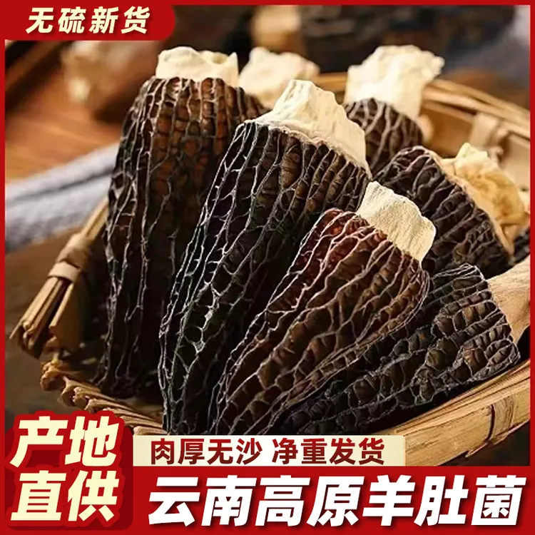 云南新货羊肚菌5-12厘米大个精品无硫肉质厚煲汤牛肚菌香干货滋补