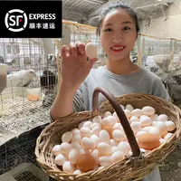 杂粮鸽子蛋 当天鲜蛋 鸽棚直发 顺丰包邮 （30枚-60枚装）